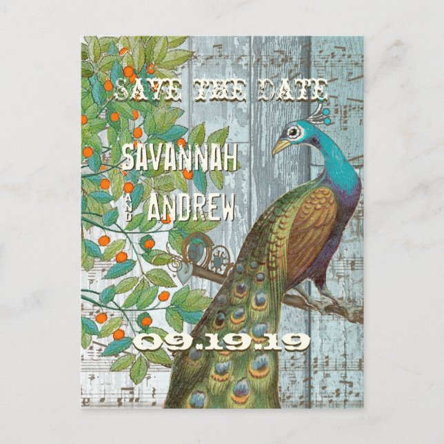 Peacock Love Bird Sitting in a Tree Save the Date Announcement Postcard (Front)