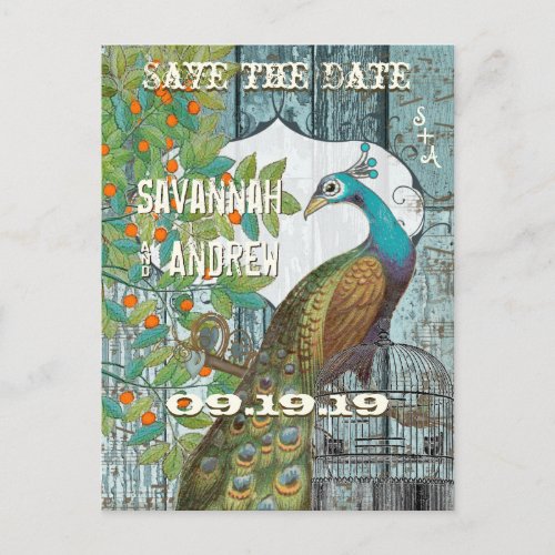 Peacock Love Bird Sitting in a Tree Save the Date Announcement Postcard