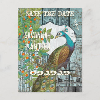 Peacock Love Bird Sitting in a Tree Save the Date Announcement Postcard