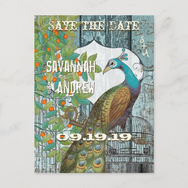 Peacock Love Bird Sitting in a Tree Save the Date Announcement Postcard (Front)