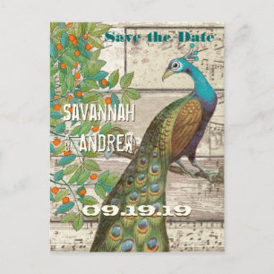 Peacock Love Bird Sitting in a Tree Save the Date Announcement Postcard