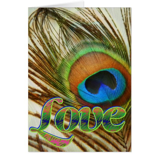 Peacock Love Cards (Front)