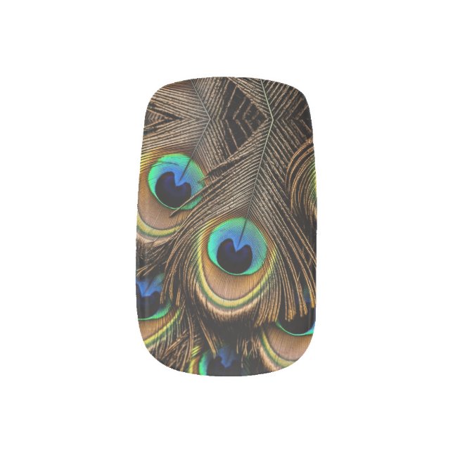 Peacock Love Minx Nail Art (Right Thumb)