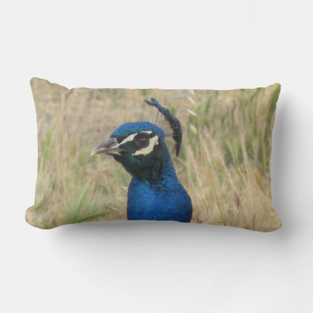 Peacock Lumbar Pillow (Front)