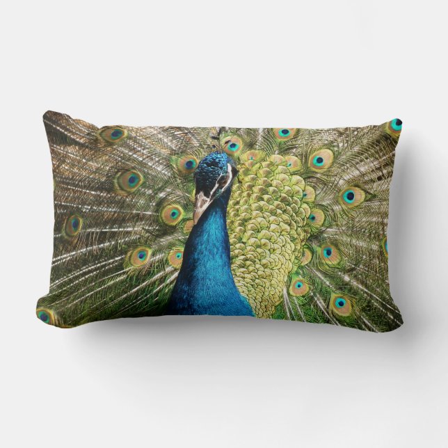 Peacock Lumbar Pillow (Front)