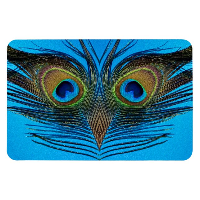 Peacock Magnet (Horizontal)