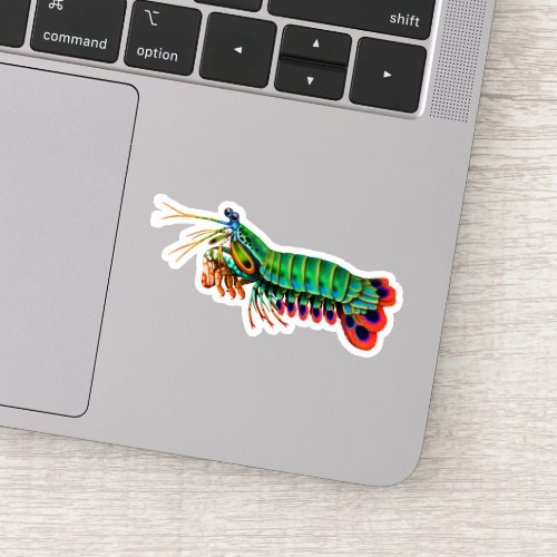 Peacock Mantis Shrimp Contour Sticker