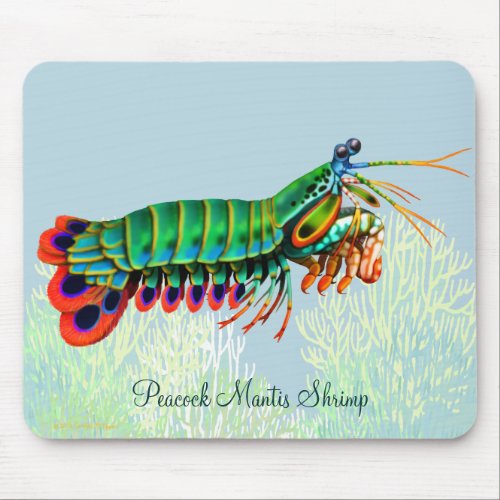 Peacock Mantis Shrimp Reef Animal Mousepad