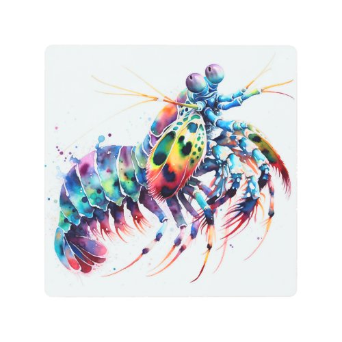 Peacock Mantis Shrimp Watercolor IREF298 _ Waterco Metal Print