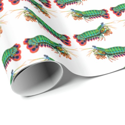 Peacock Mantis Shrimp Wrapping Paper | Zazzle