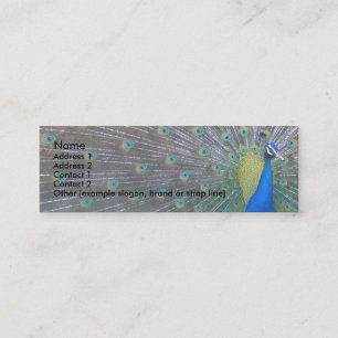 Peacock Mini Business Card