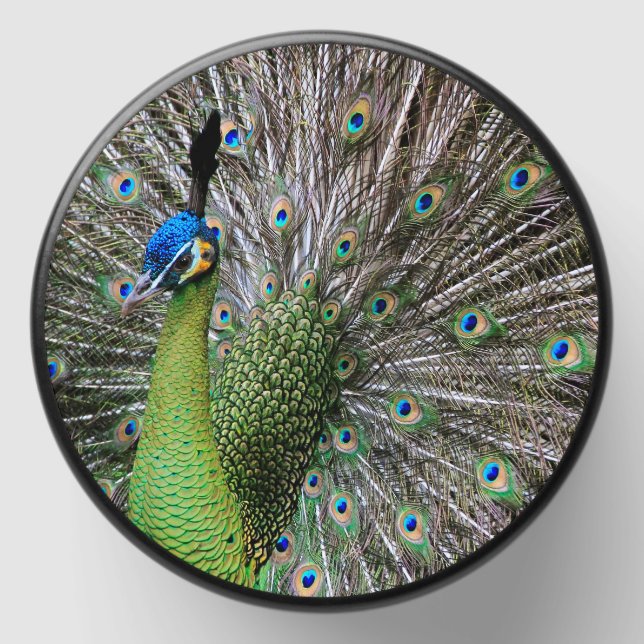 Peacock Mini Candle Favors (Front)