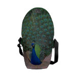Peacock Mini Messenger Bag Peacock Mini Messenger Bag
