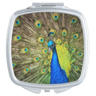 Peacock Mirror For Makeup