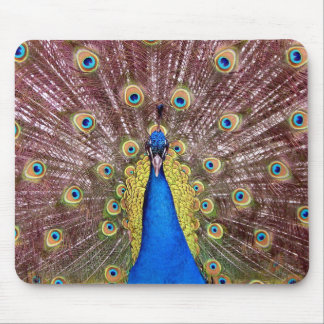 Peacock Mouse Pad