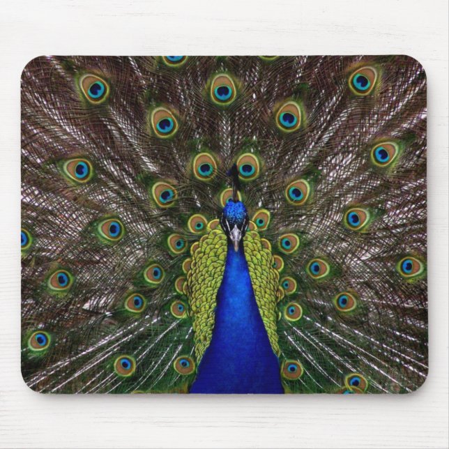 Peacock Mouse Pad (Front)