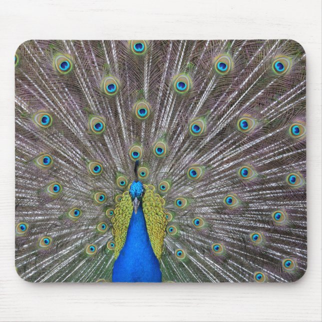 Peacock Mouse Pad (Front)