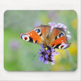 peacock mouse pad