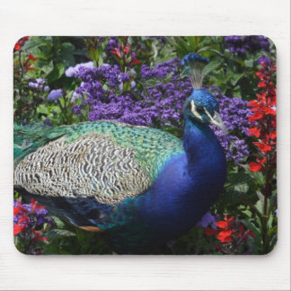 Peacock Mouse Pad