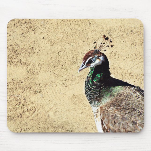 Peacock Mouse Pad (Front)