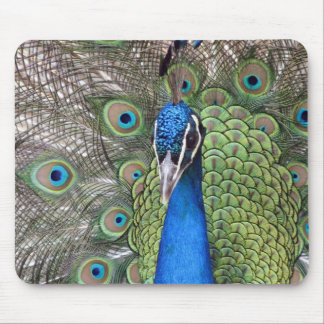 Peacock Mouse Pad
