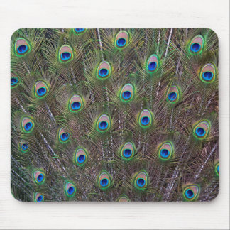 Peacock Mousemat Mouse Pad