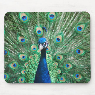 Peacock Mousepad