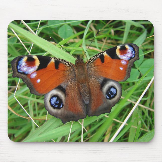 Peacock Mousepad (Front)