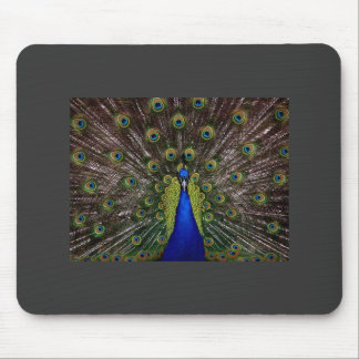 Peacock Mousepad