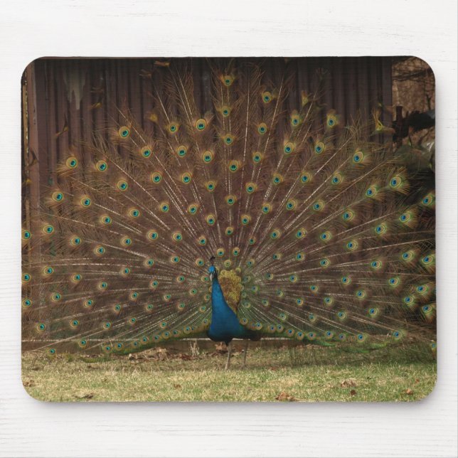 Peacock mousepad (Front)