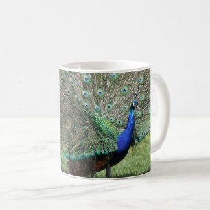 Peacock mug