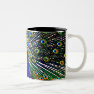 Peacock Mug-Close Two-Tone Coffee Mug
