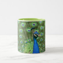 Peacock Mug.