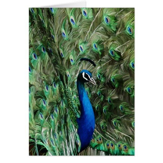Peacock note care cards (Front)
