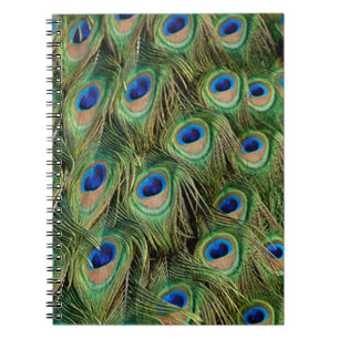 Peacock Notebook