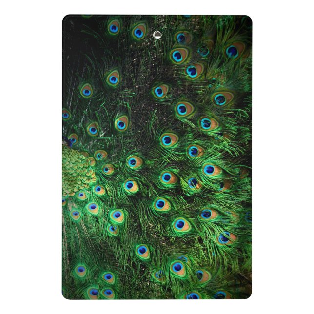 peacock notebook mini clipboard (Back)