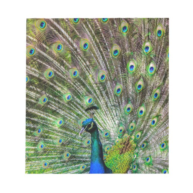 Peacock Notepad (Front)