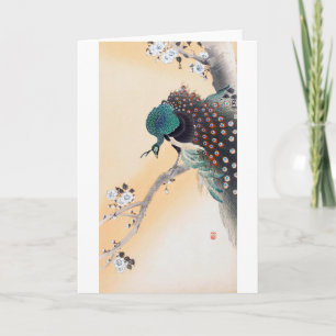 Peacock on a Cherry Blossom Tree, Ohara Koson Card