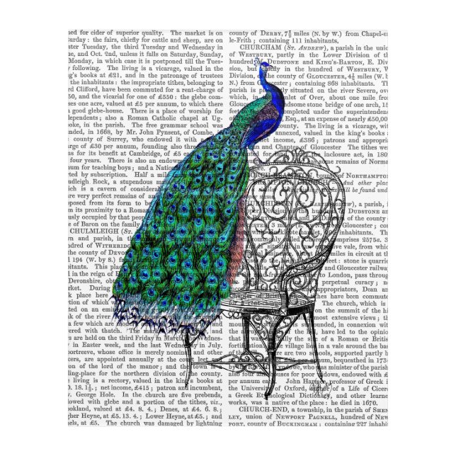 Peacock on Chair Acrylic Print (Front)