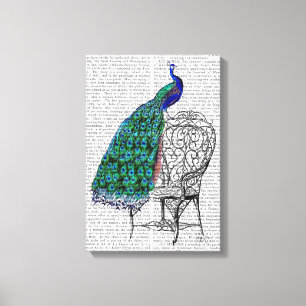 Peacock on Chair Canvas Print