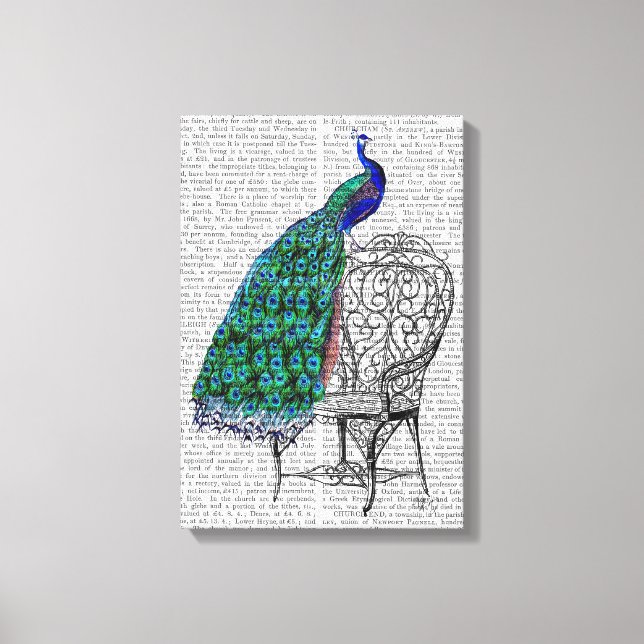 Peacock on Chair Canvas Print (Front)