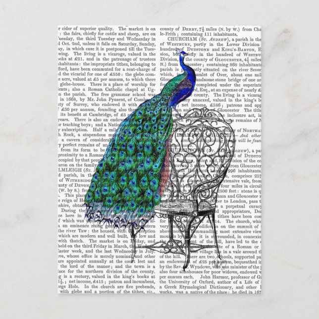 Peacock on Chair Postcard (Front)