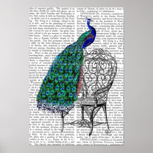 Peacock on Chair Poster