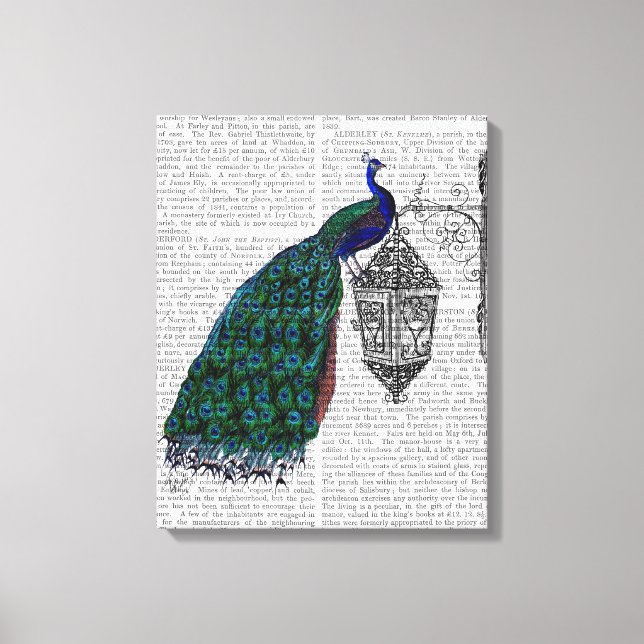 Peacock On Lamp Canvas Print (Front)