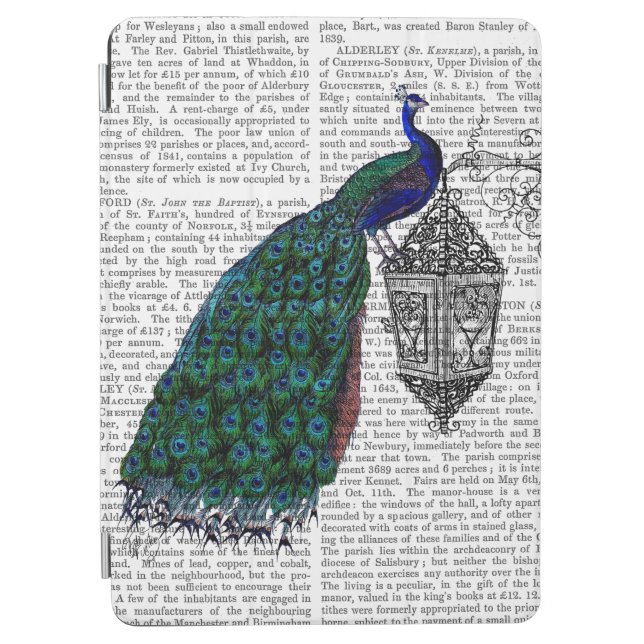 Peacock On Lamp iPad Air Cover (Front)