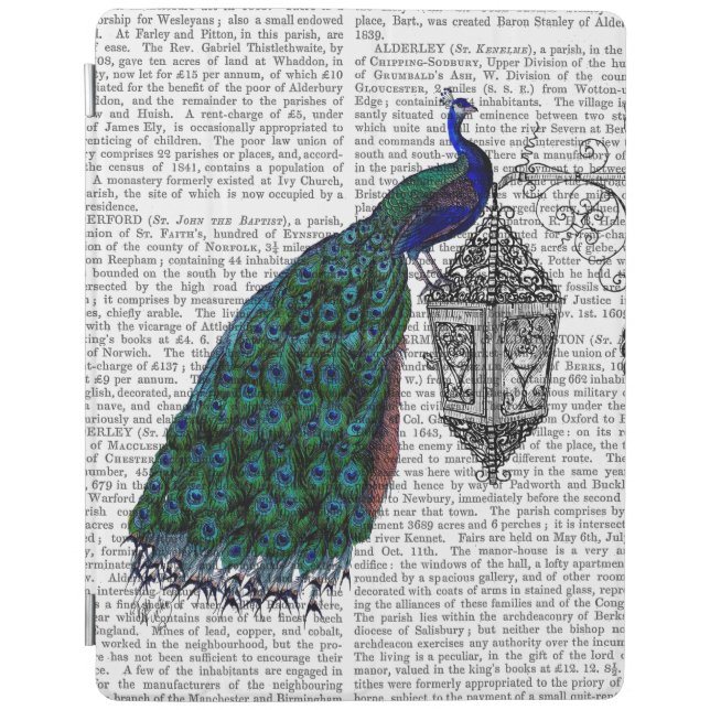 Peacock On Lamp iPad Air Cover (Front)