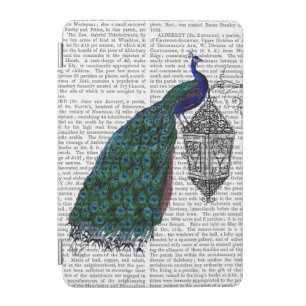 Peacock On Lamp iPad Mini Cover