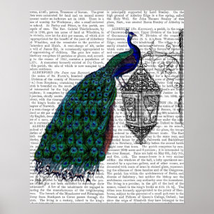 Peacock On Lamp Poster