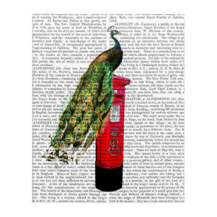 Peacock on Postbox Acrylic Print
