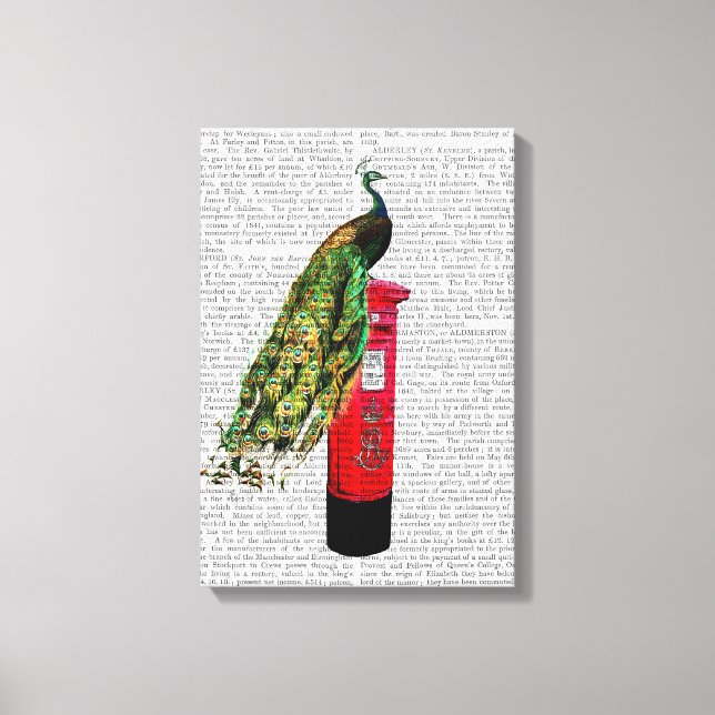 Peacock on Postbox Canvas Print (Front)